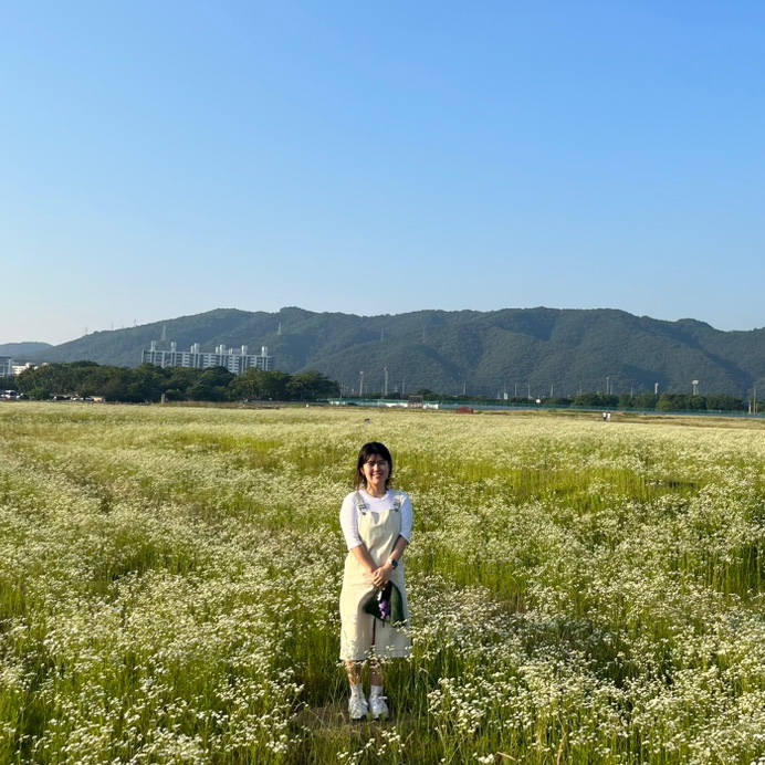 Gyeongju(경주)십원빵 이미지