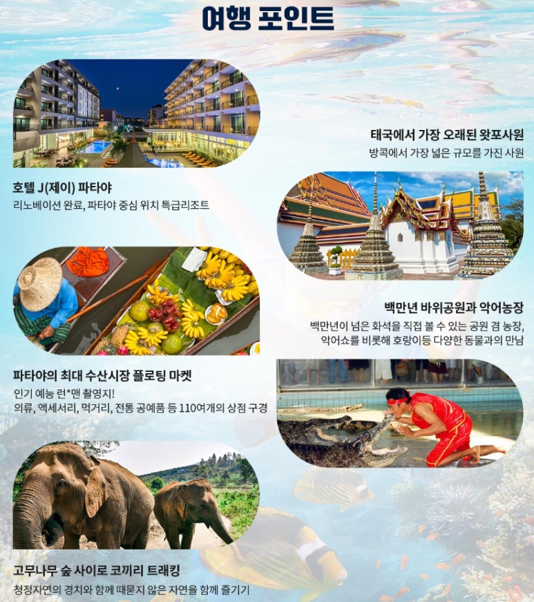 NS투어 이미지