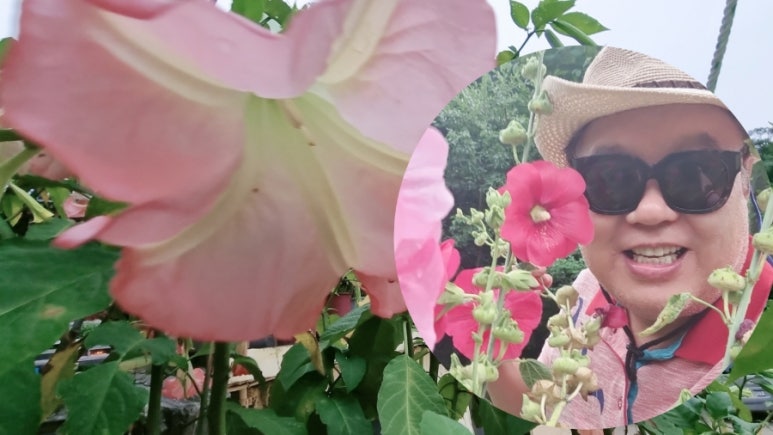 영상화원 이미지