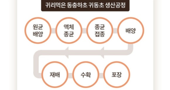 투엘(주) 이미지