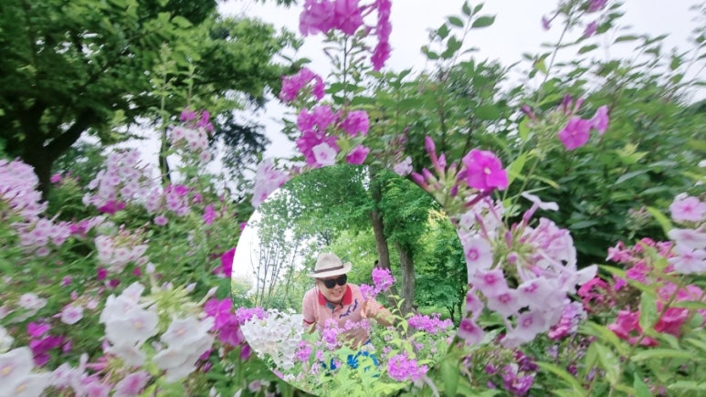 영상화원 이미지