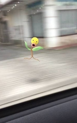 더방콕타이 이미지