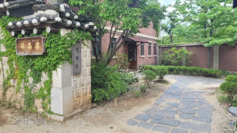 넝쿨양품점 이미지