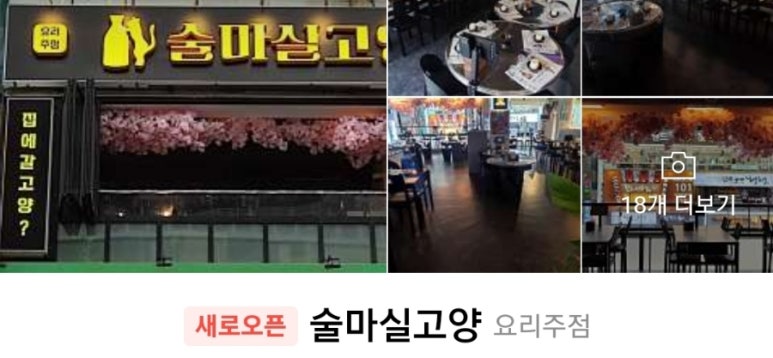 술마실고양 이미지