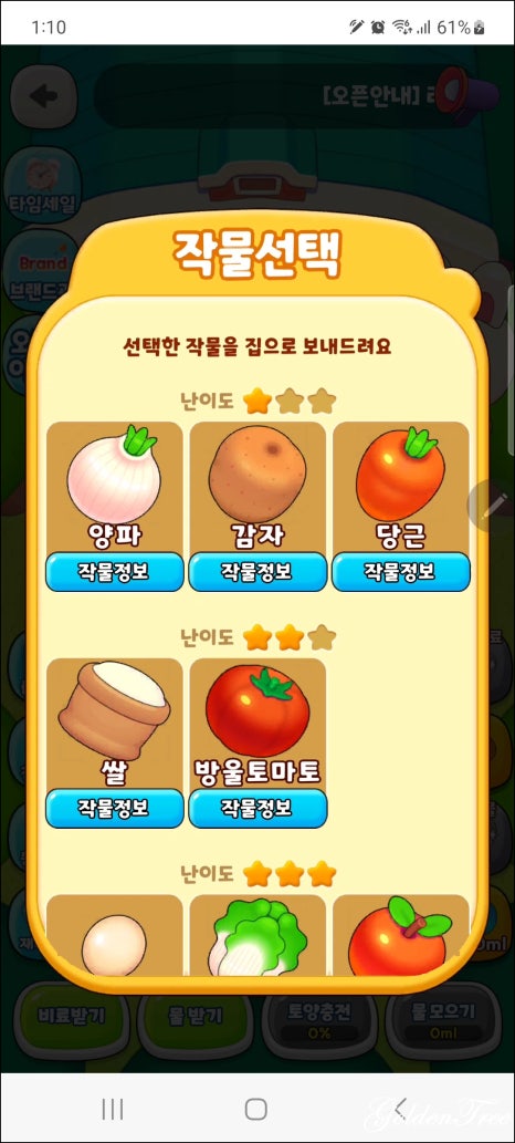 양파마켓 이미지