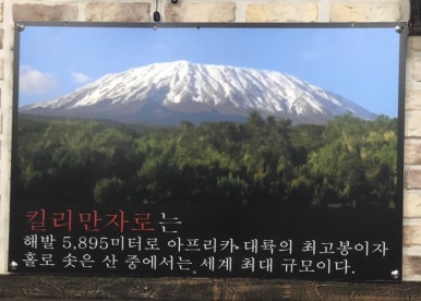 제육불패 이미지