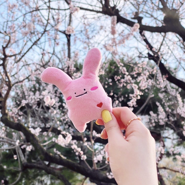 라빗플래닛 이미지