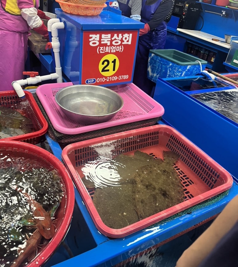 진희상회 이미지