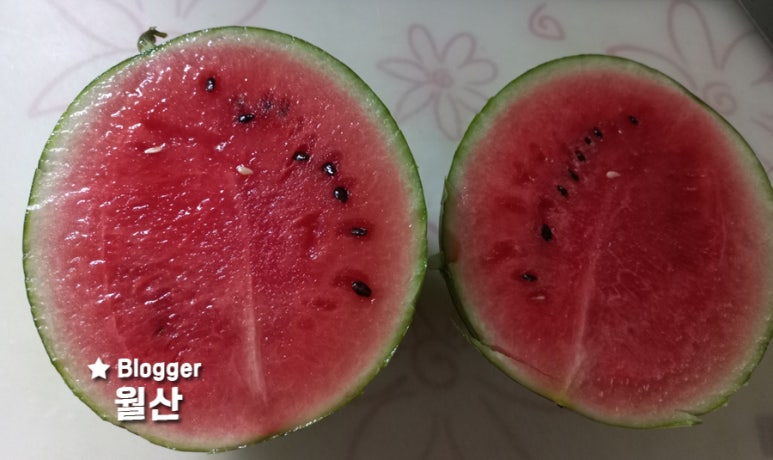 향수농약사 이미지