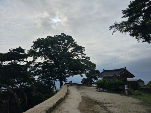 대지카페 이미지