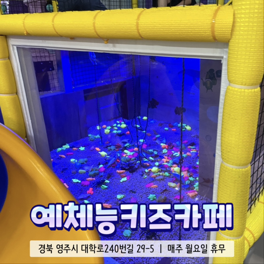 예체능키즈카페 이미지