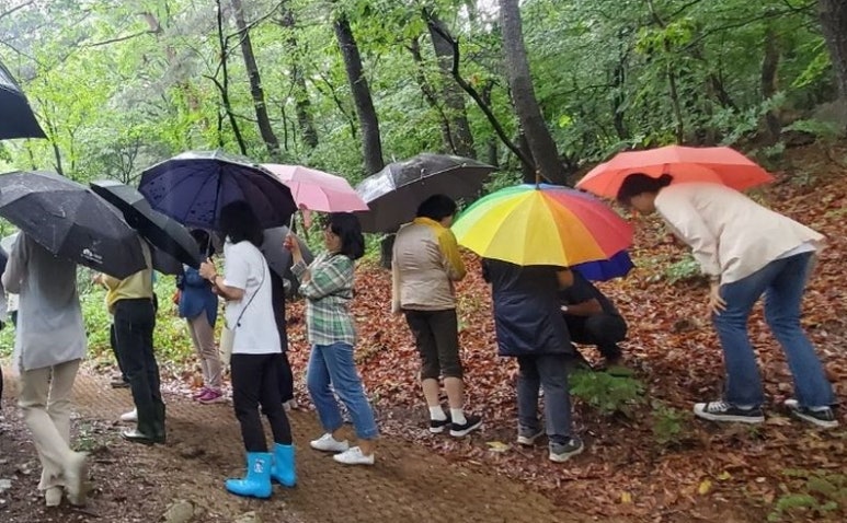 숲:토닥 이미지