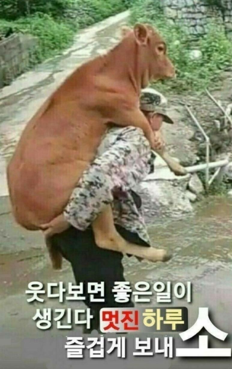 진법무사사무소 이미지