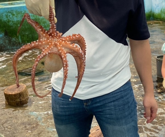 선연채 이미지
