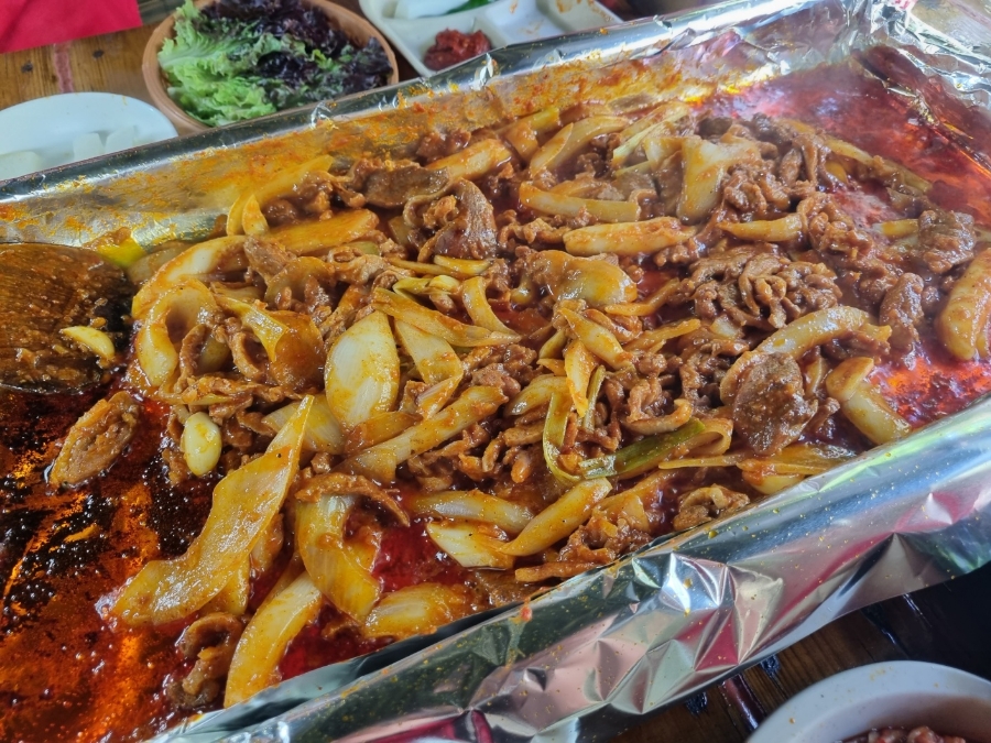포도밭에서 사진 8