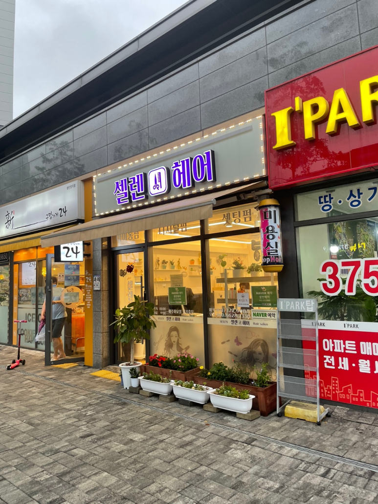 셀렌헤어 이미지