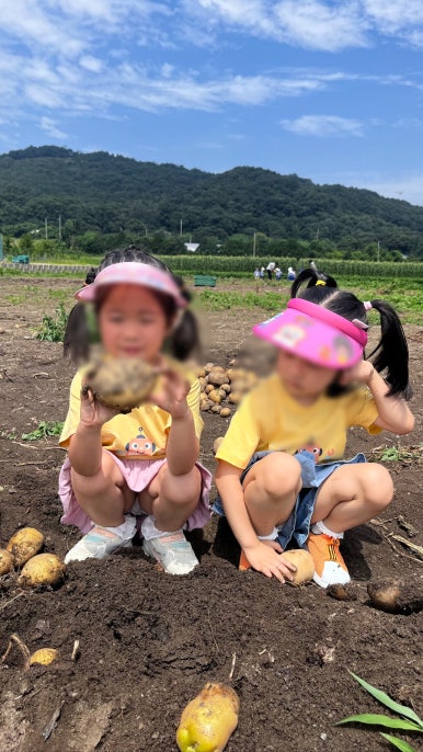 아현어린이집 이미지