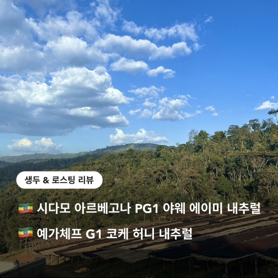 (주)블레스빈 이미지
