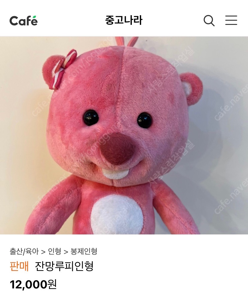 예솔농장 이미지