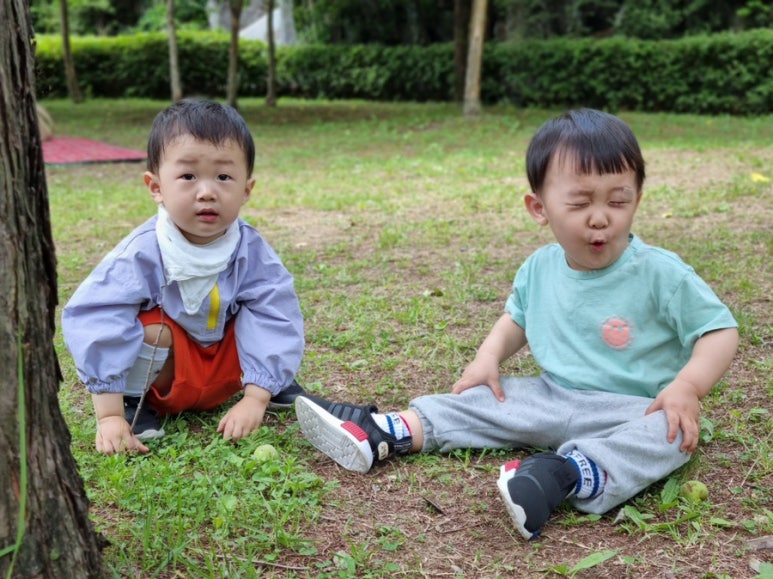 화랑세탁소 이미지