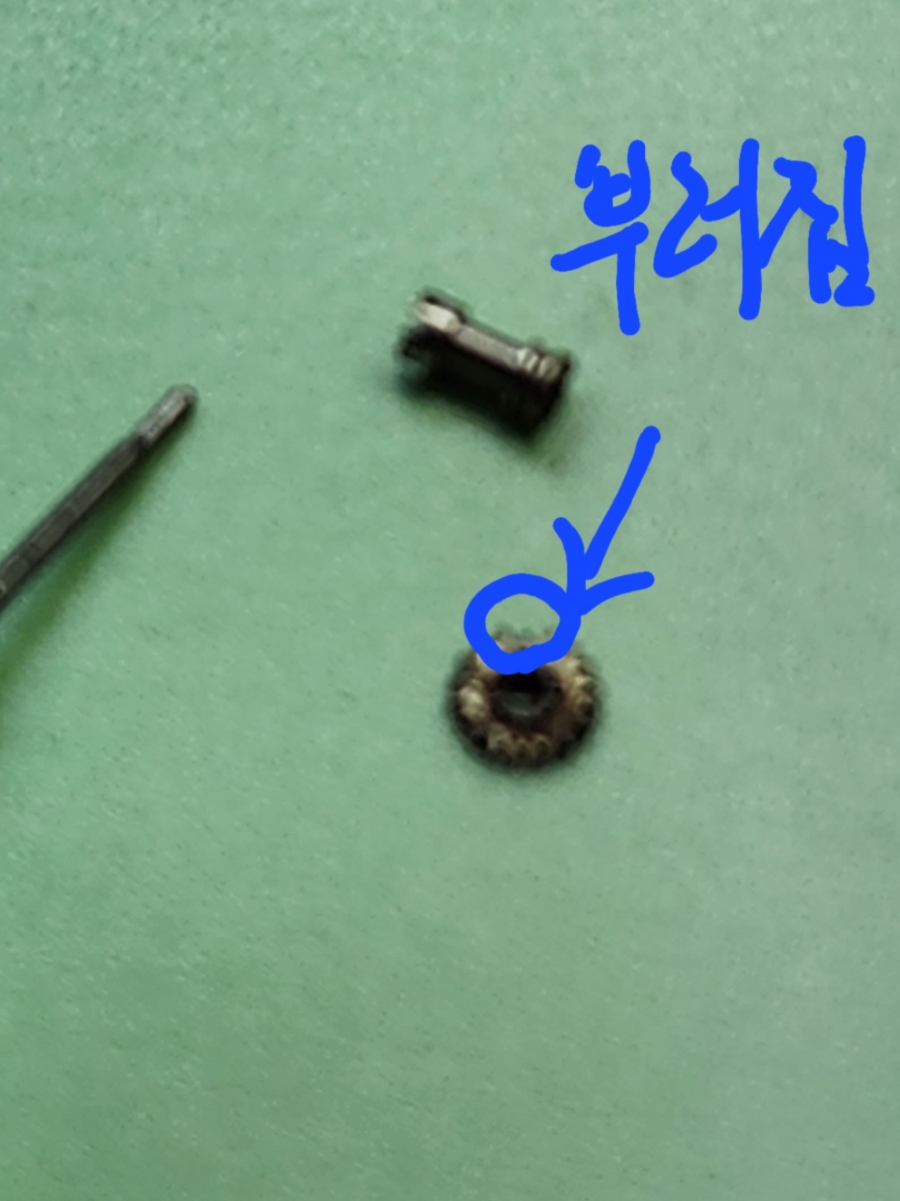 남일사 이미지