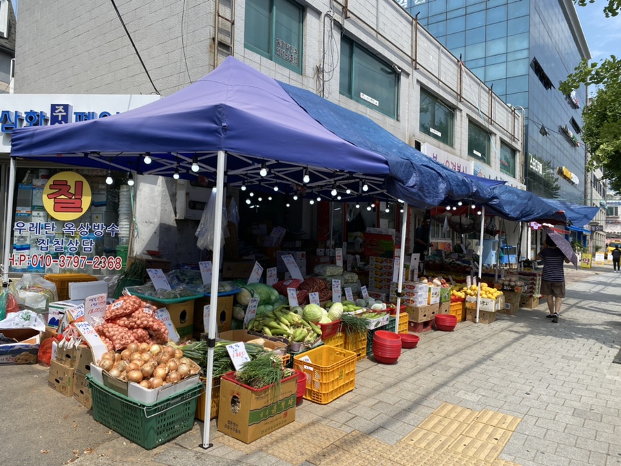 싱싱야채청과 이미지