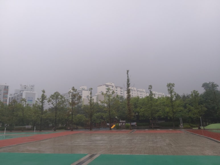 샘과 그늘 이미지