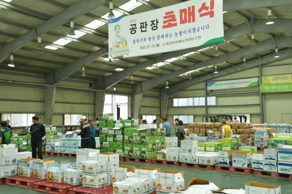 대관령원예농협 채소사업소 이미지