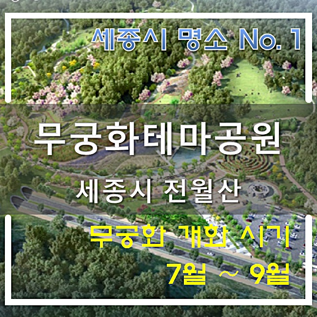 세종코퍼레이션주 이미지
