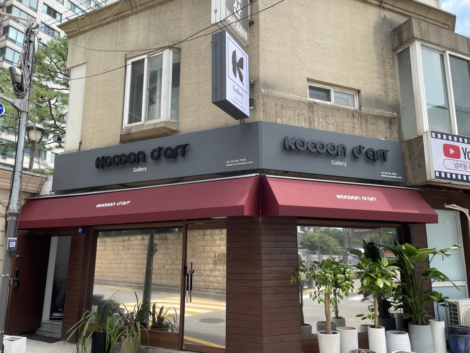 갤러리코쿤 이미지