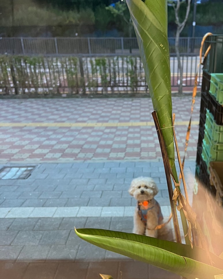 뚜레쥬르천안성성신도시점 이미지