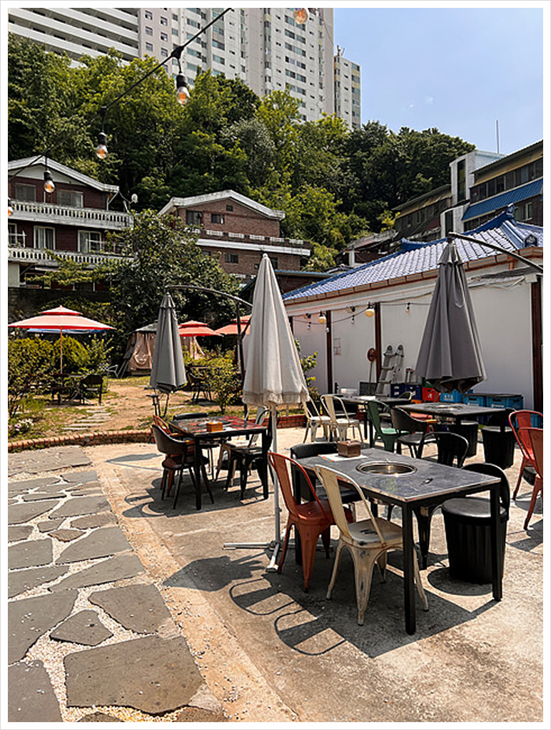 한라산도새기 이미지