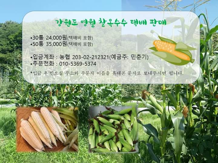 (주)미라지식품 이미지