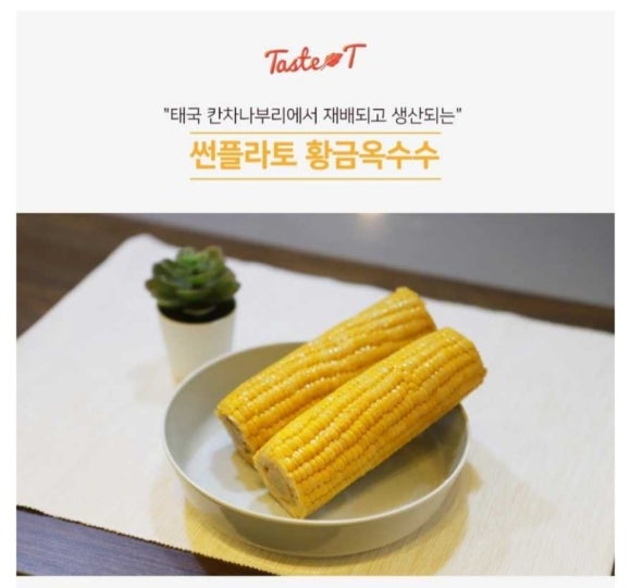 썬플라토 이미지