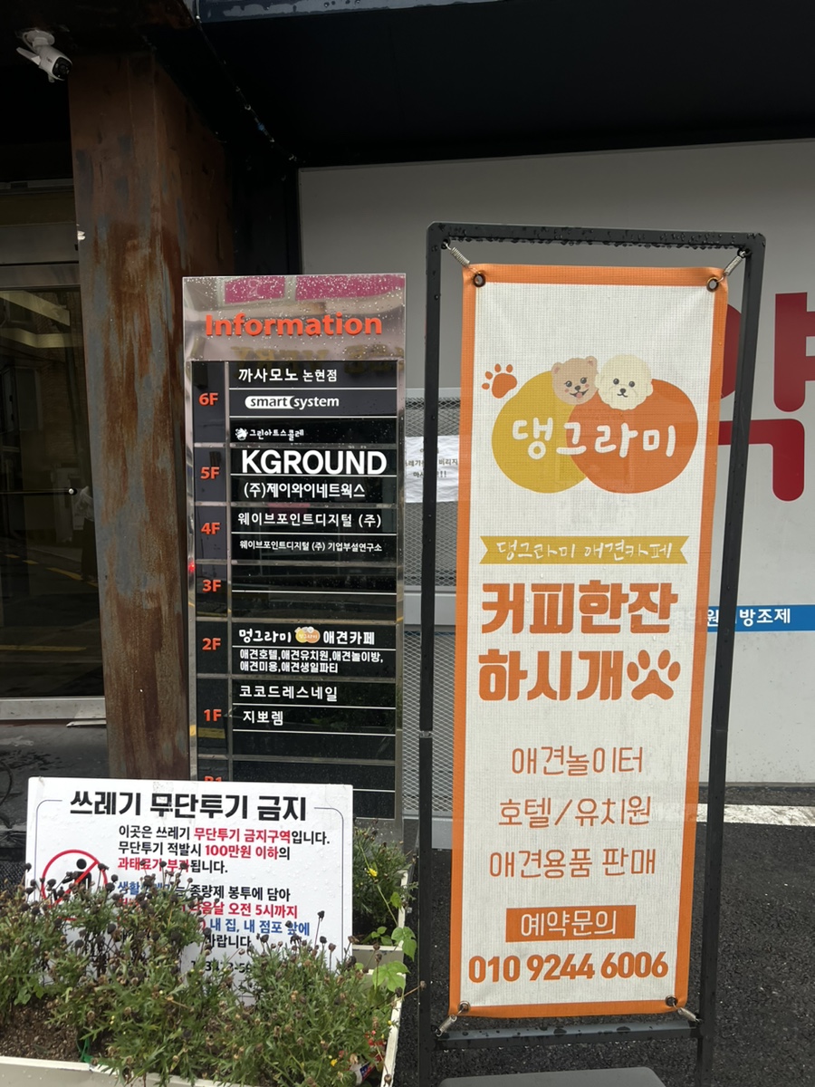 강남 애견카페 하이멍그라미, 말티푸 이브이의 즐거운 시간 — 사진 3