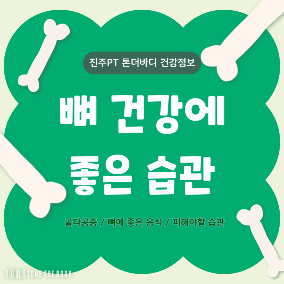 햇빛좋은피티 이미지