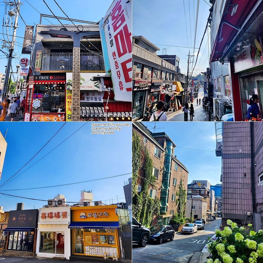챔프소사이어티 이미지