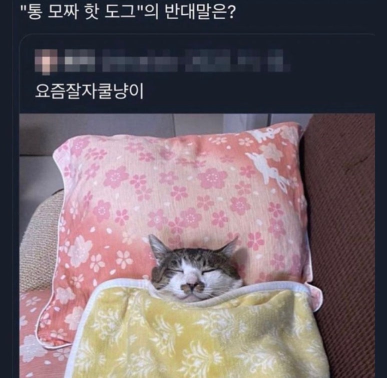 잘자 이미지