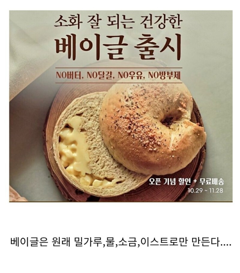 함베이글 이미지