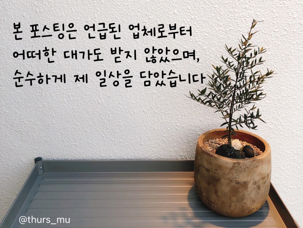 마레벤또 이미지