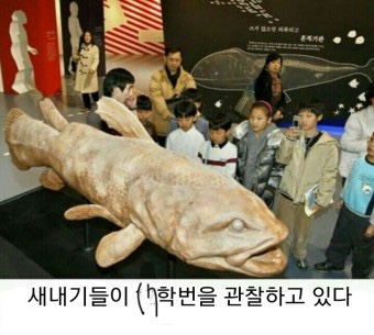 파앙 이미지