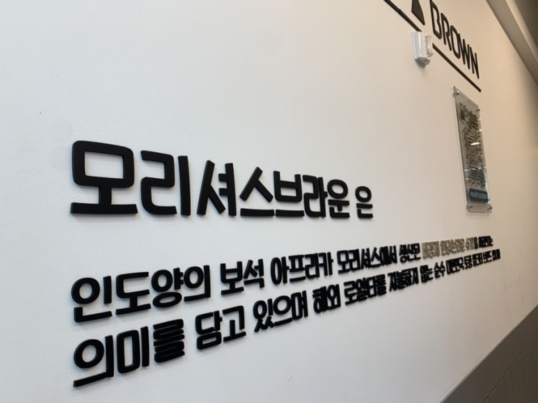 모리셔스브라운영종점 이미지