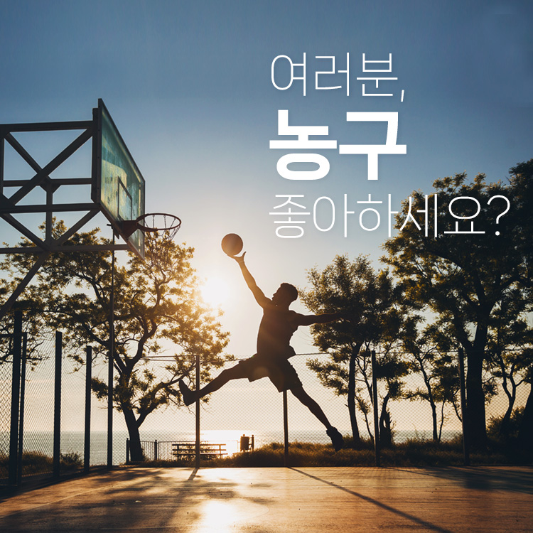 루디아스포츠 이미지