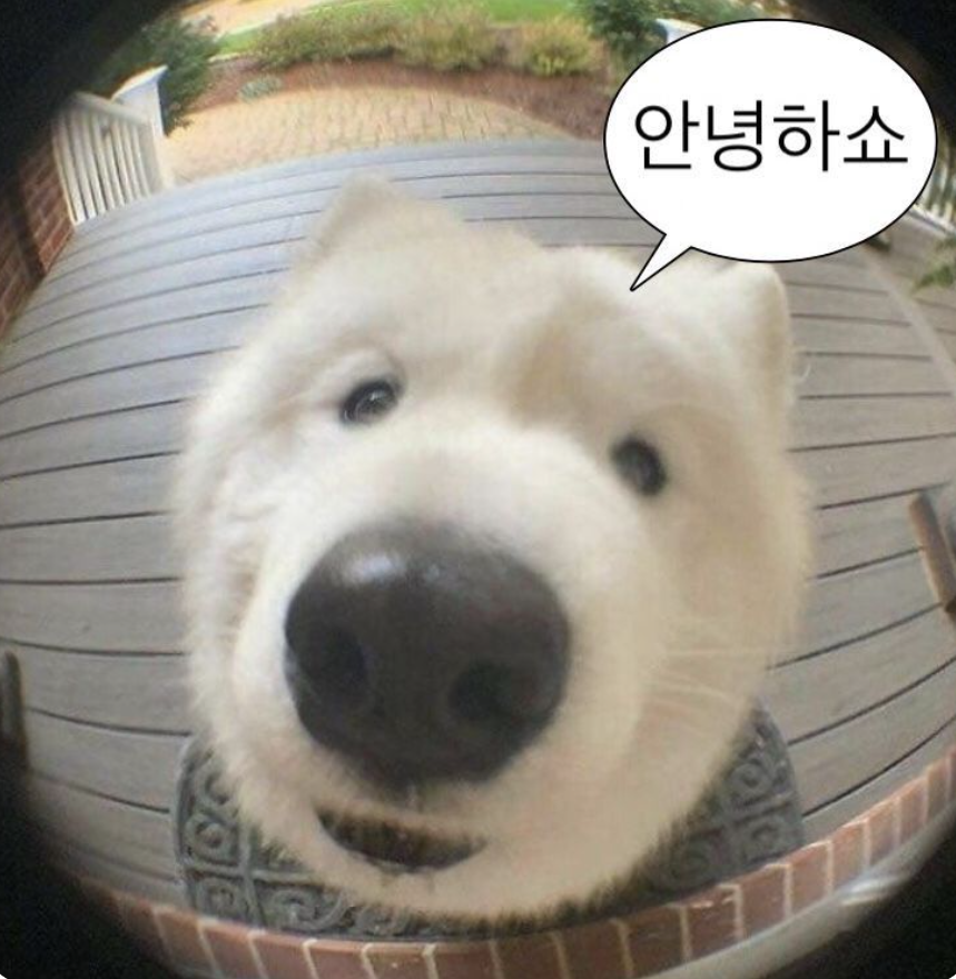 태닝아일랜드 이미지