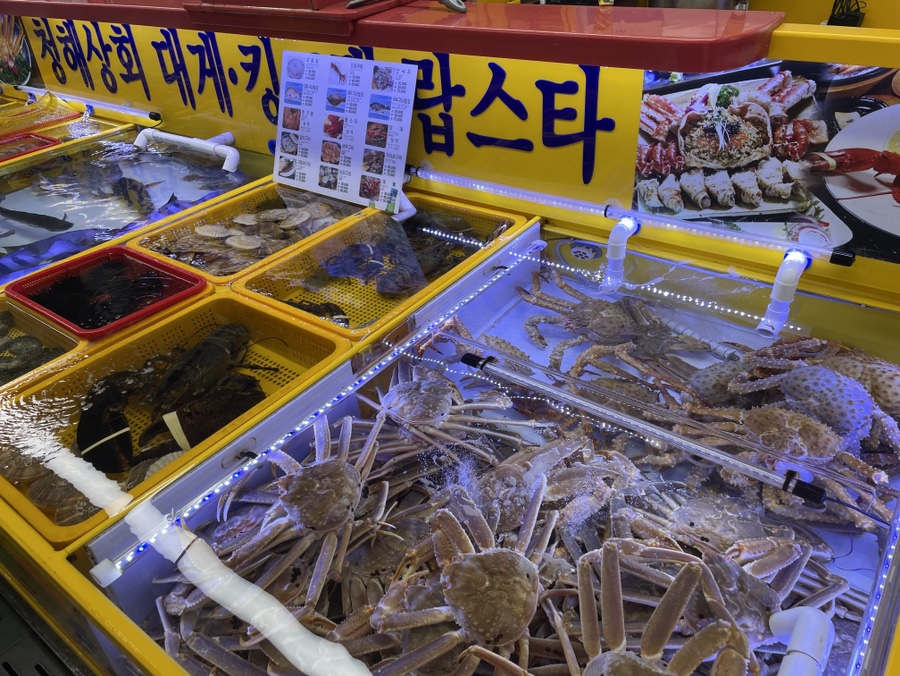 청해상회 이미지