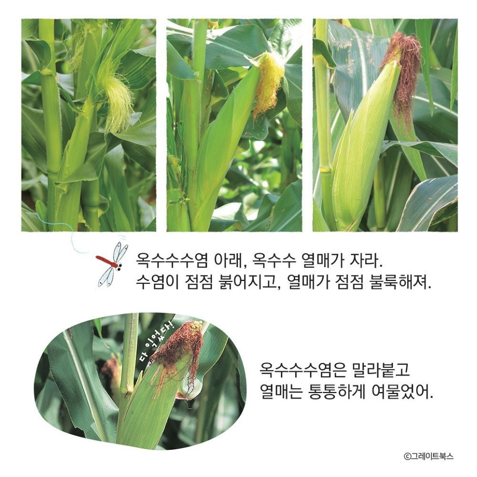 자연톡톡 이미지