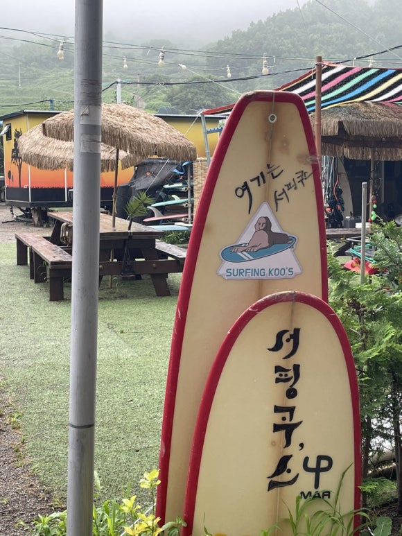 서핑쿠스 이미지