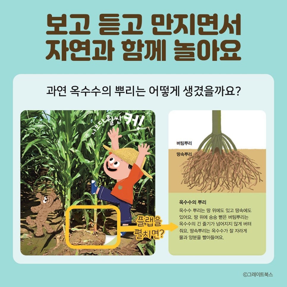 자연톡톡 이미지