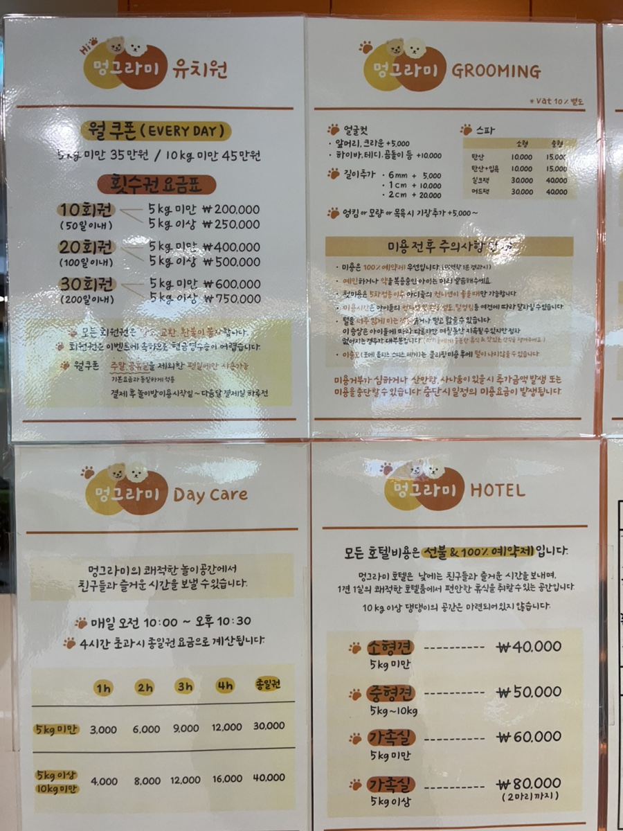 강남 애견카페 하이멍그라미, 말티푸 이브이의 즐거운 시간 — 사진 9