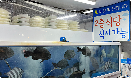가야회수산 이미지